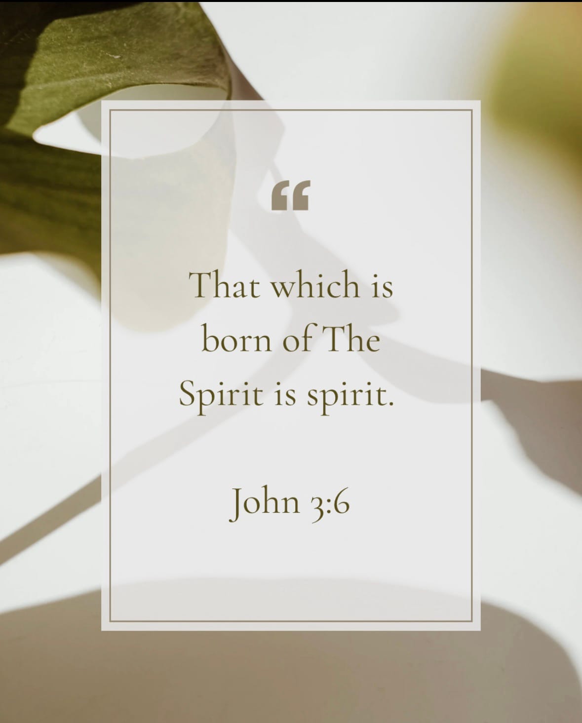 WHAT IT MEANS TO BE BORN AGAIN